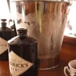 Hendrick's Gin