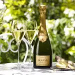 Krug Harmonies Gingembre