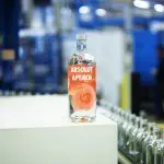 ABSOLUT Flavours redesign - PRODUCTION - APEACH 2 - ForGeorges