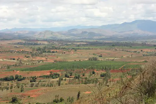 vin_madagascar-1 Vin madagascar