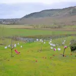 Saint Vincent tournante 2014 Bourgogne