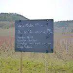 Saint Vincent tournante 2014 Bourgogne