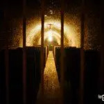 Laurent-Perrier Champagne - Caves 2 - ForGeorges