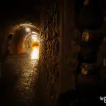 Laurent-Perrier Champagne - Caves 7 - ForGeorges