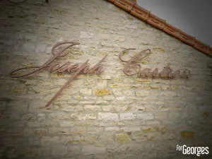 Joseph Cartron - Nuit Saint Georges - ForGeorges