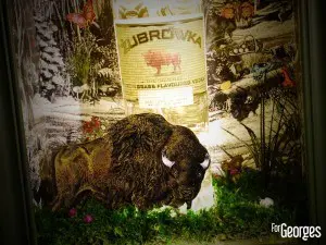 Zubrowka - La légende de Z - Lixir