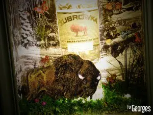 Zubrowka - La légende de Z - Lixir