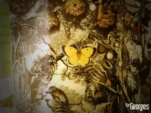 Zubrowka - La légende de Z - Lixir