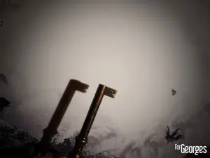 Zubrowka - La légende de Z - Lixir