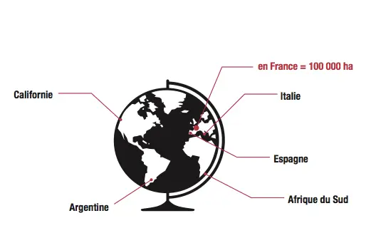 grenache dans le monde grenache dans le monde