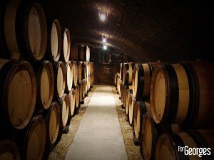 Domaine Ravaut Ladoix