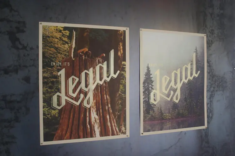 Legal cannabis boisson Legal cannabis boisson