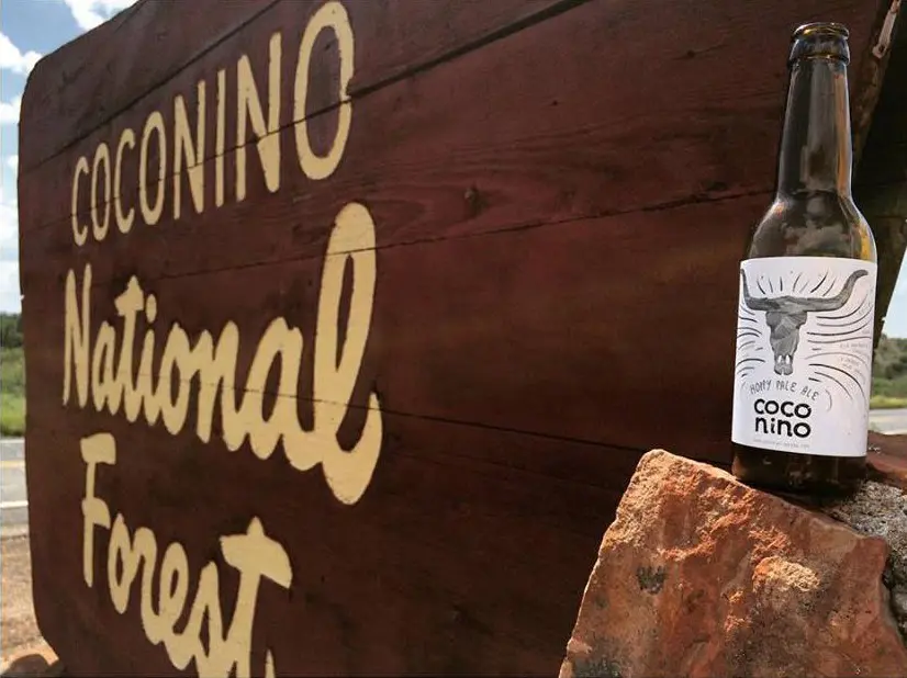 Coconino beer at Coconino national forest