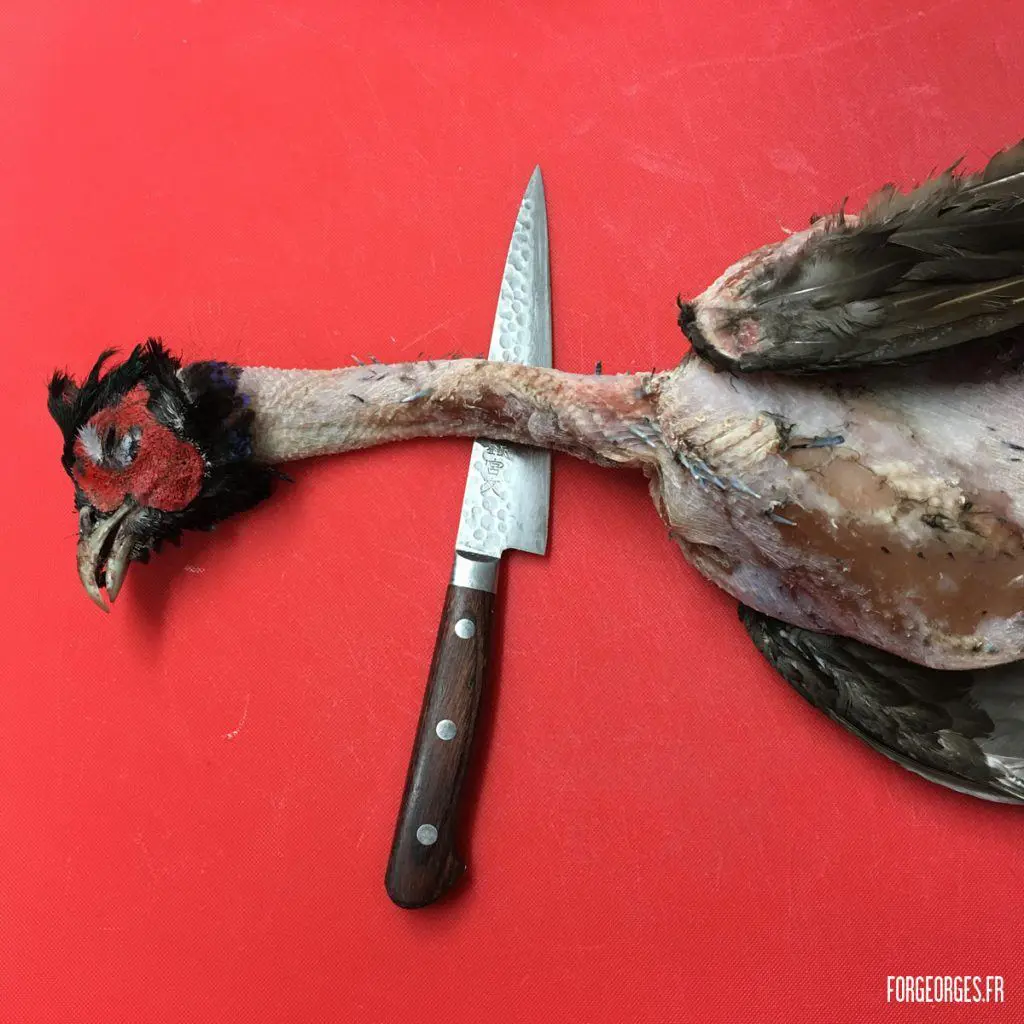 Aberlour Hunting club 2016