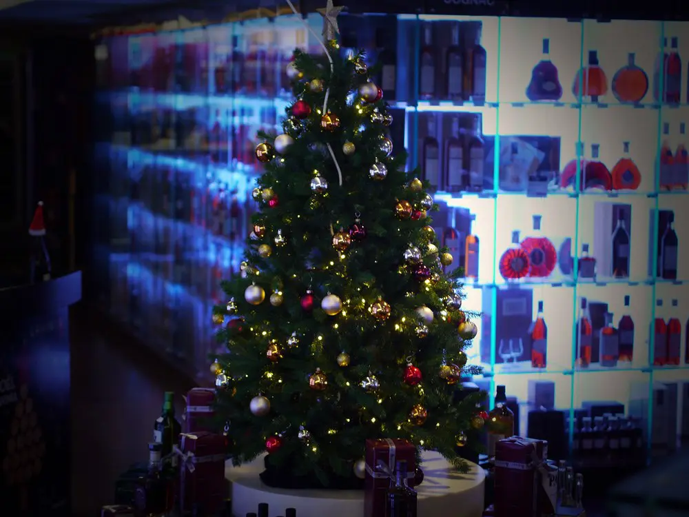 Lavinia Noel de l'avent