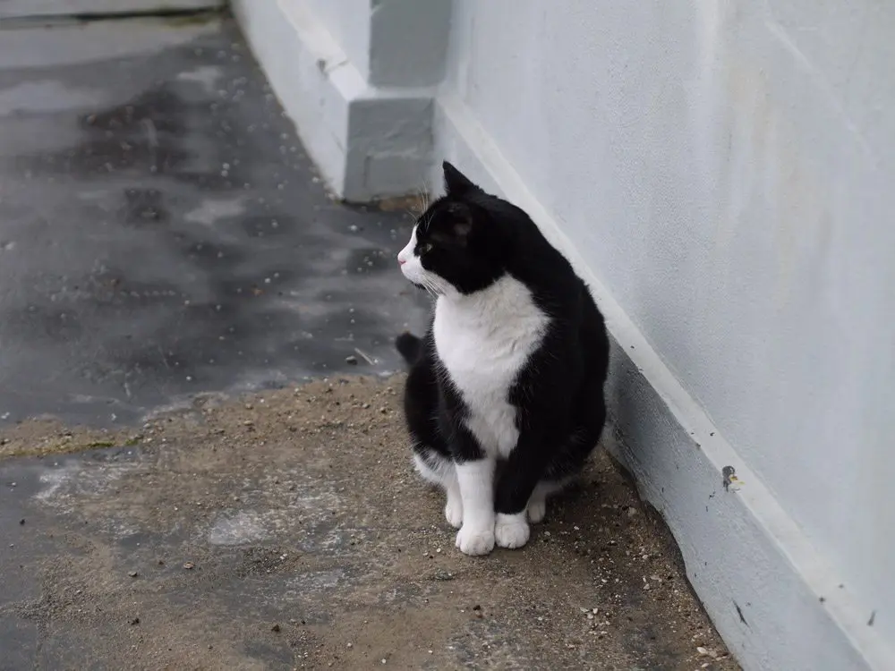 Visit Carlsberg Copenhague