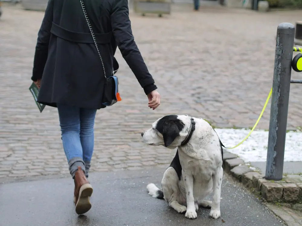 Visit Carlsberg Copenhague
