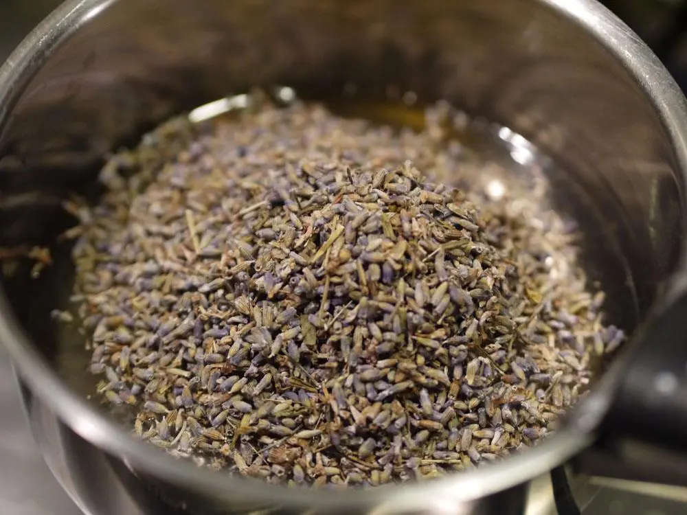 sirop de lavande pimentée pour cocktail short drink à base de mezcal