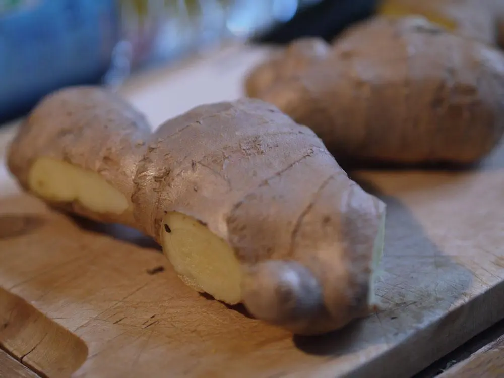 Racine de gingembre pour faire son Ginger beer maison