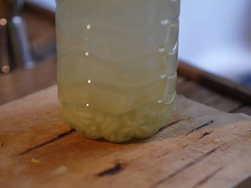 Faire son ginger beer maison