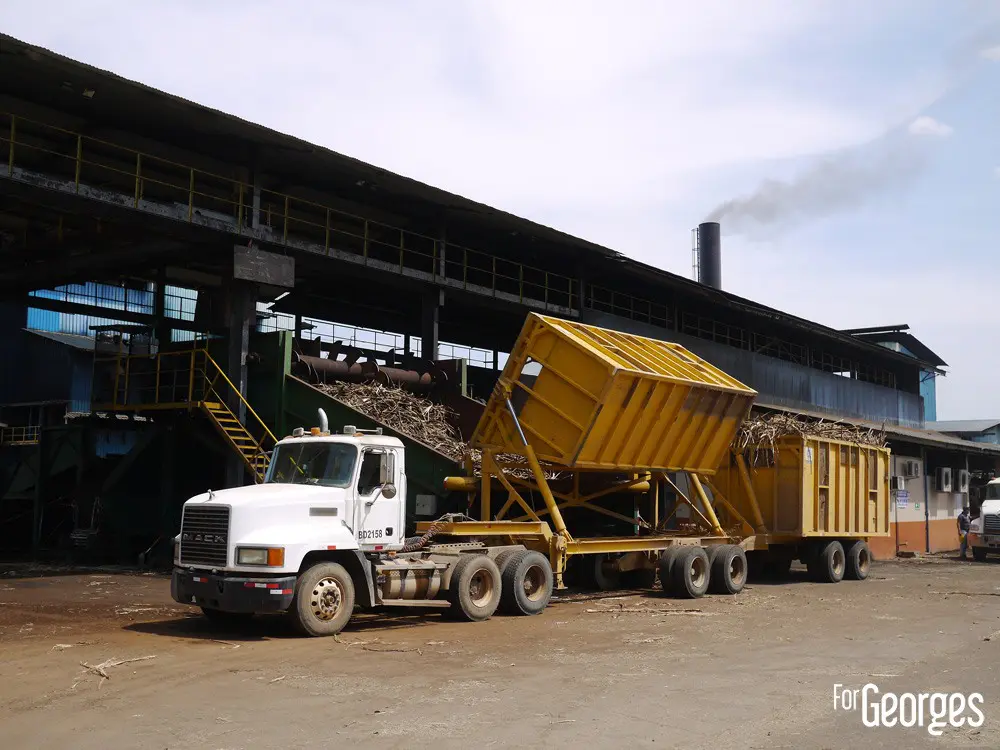 Déchargement Canne à sucre Distillerie Ron Abuelo au Panama