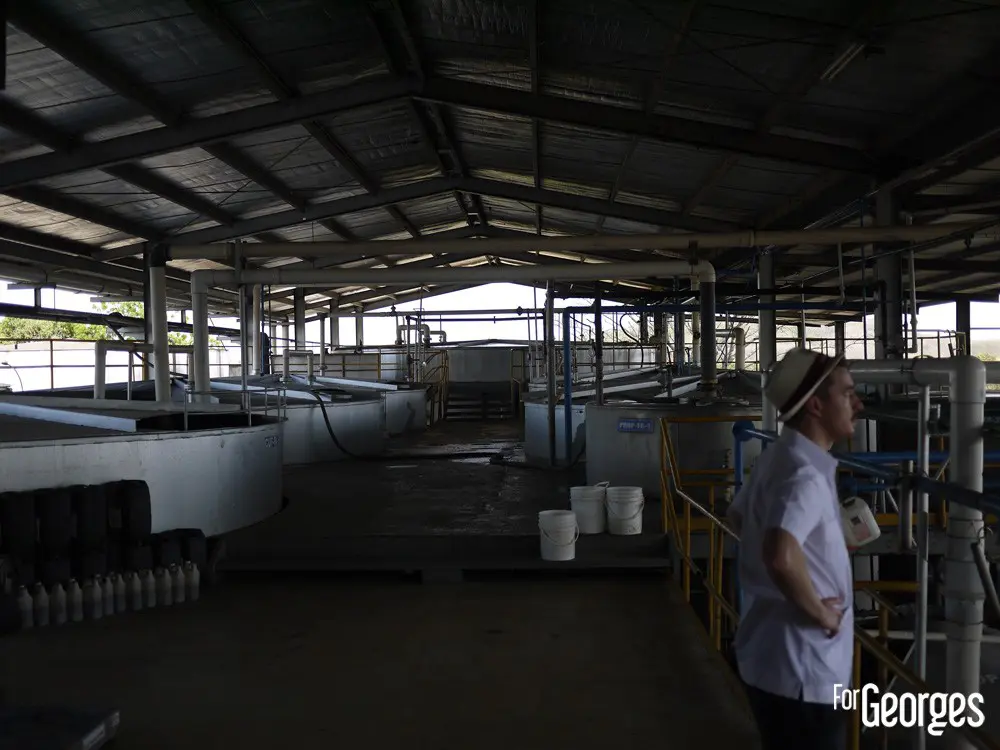 Distillerie Ron Abuelo au Panama