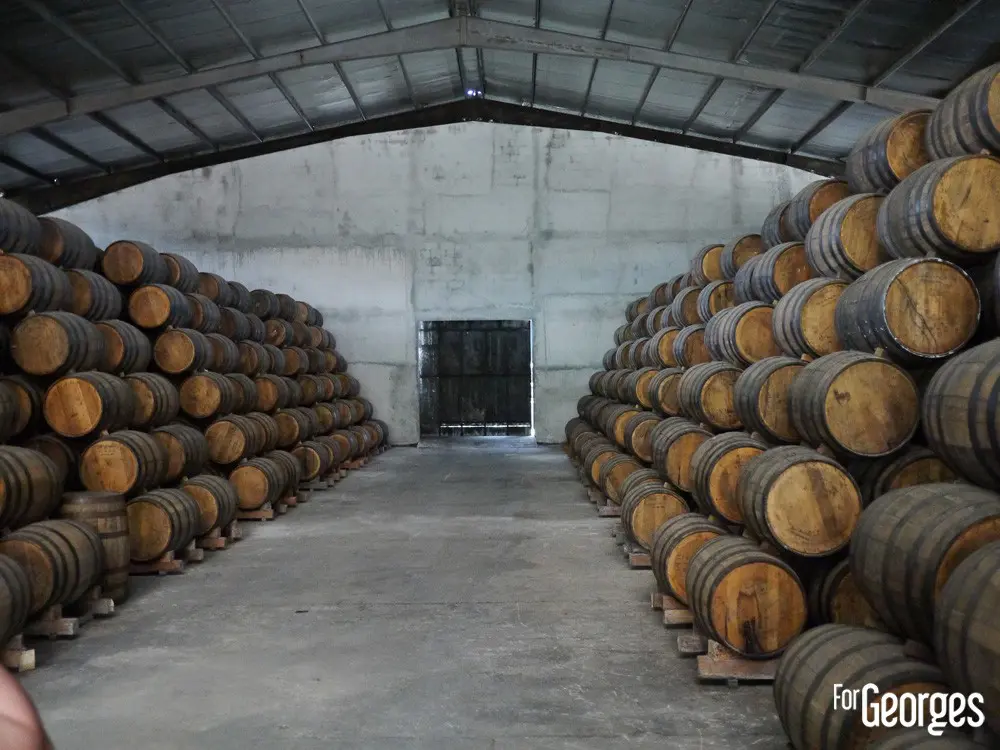 Chai Ron Abuelo au Panama