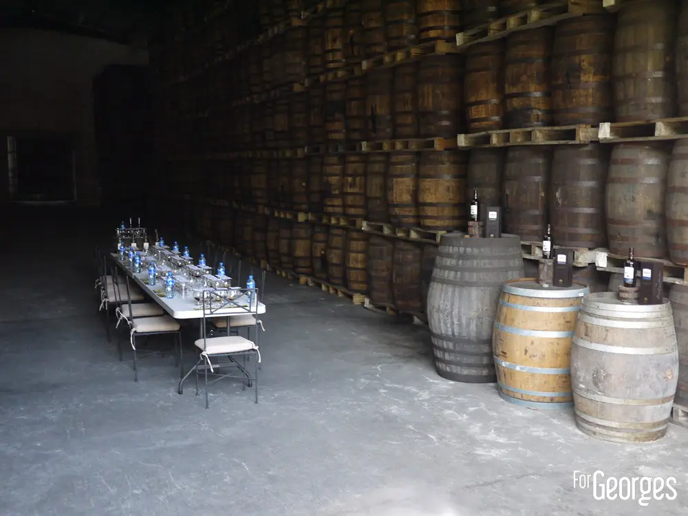 Dégustation dans les chais Ron Abuelo au Panama