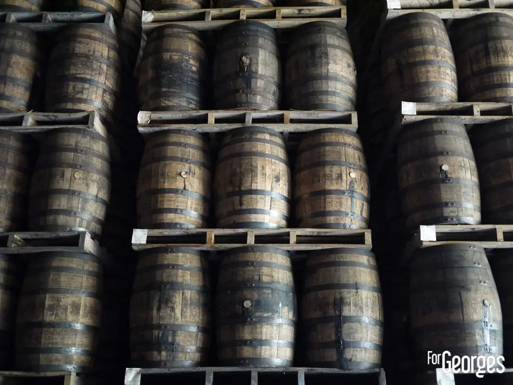 Chai Ron Abuelo au Panama