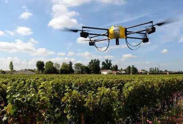 drone au dessus des vignes