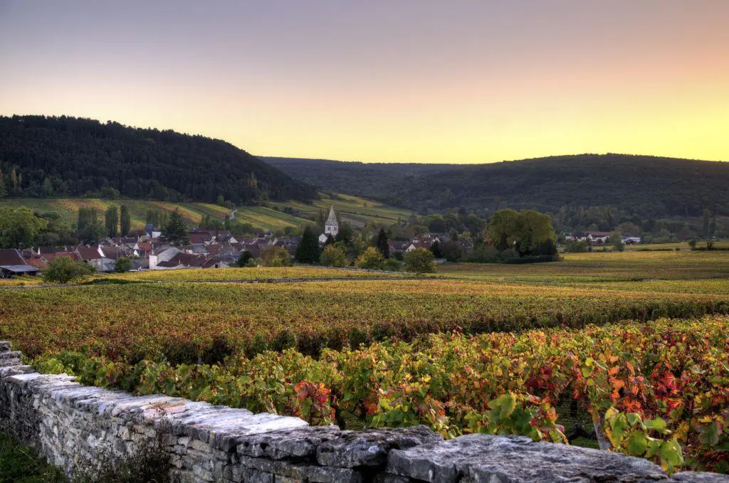 Cité des vins de Bourgogne à Beaune