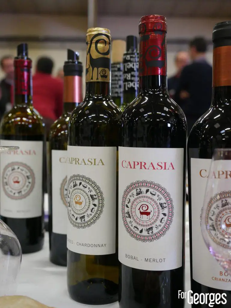 Millesime Bio belles étiquettes