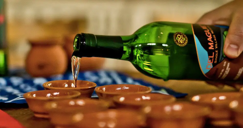 Le mezcal : une mode parisienne ? Mezcal Paris Province