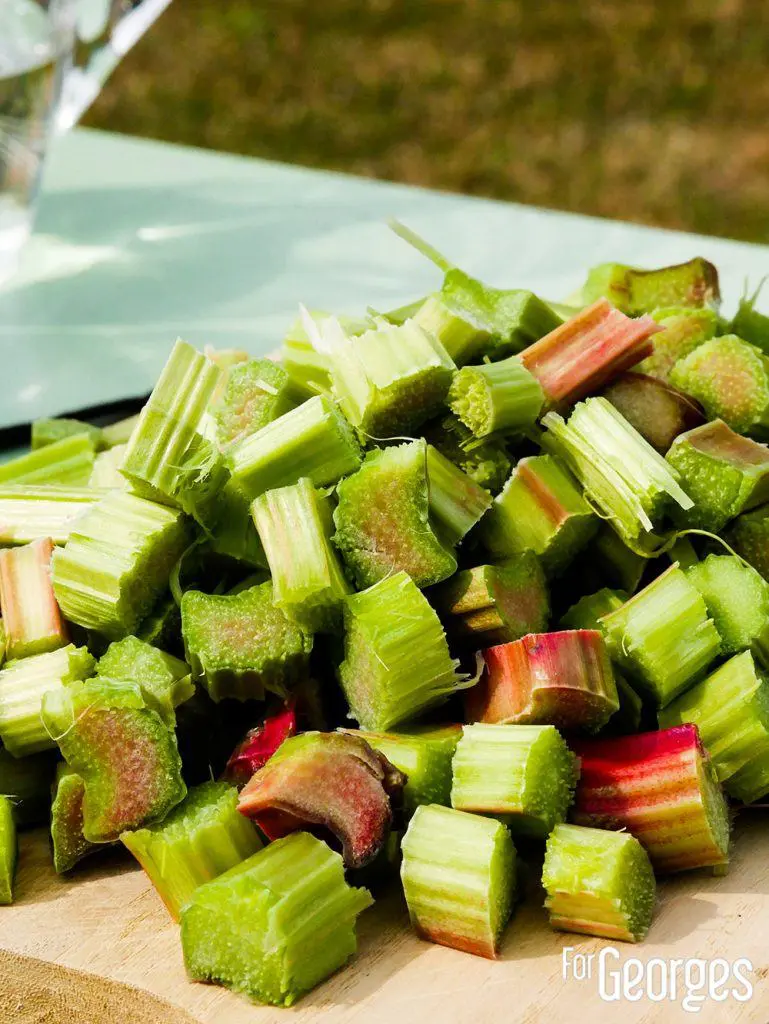 Rhubarbe en morceau pour faire de la liqueur