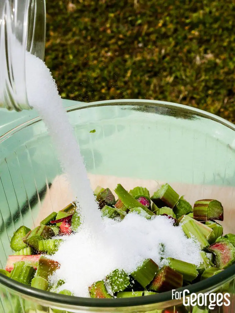 Rhubarbe et sucre pour faire de la liqueur de rhubarbe