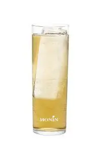 Cocktails Highballs à base de Paragon