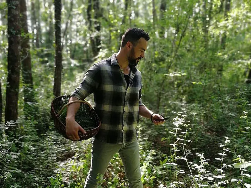 Romuald Vincent de Djin Spirits en pleine cueillette