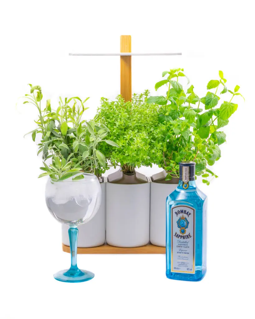 Giny Garden Bombay Sapphire