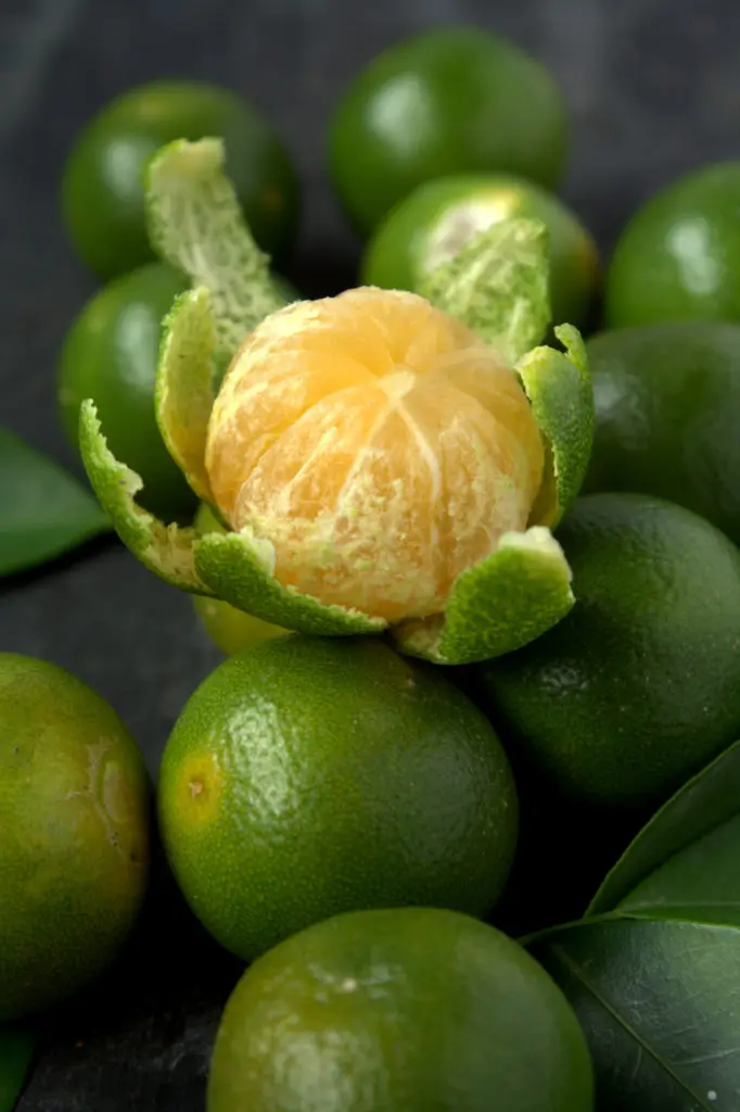 Calamansi