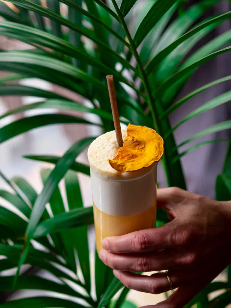 Pineau Colado House Garden Paris