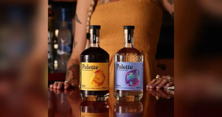 Palette : la dernière innovation sans alcool signée Bacardi Martini palette Bacardi sans alcool