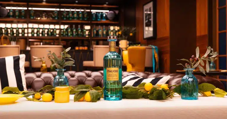 Art of Italicus France 2024