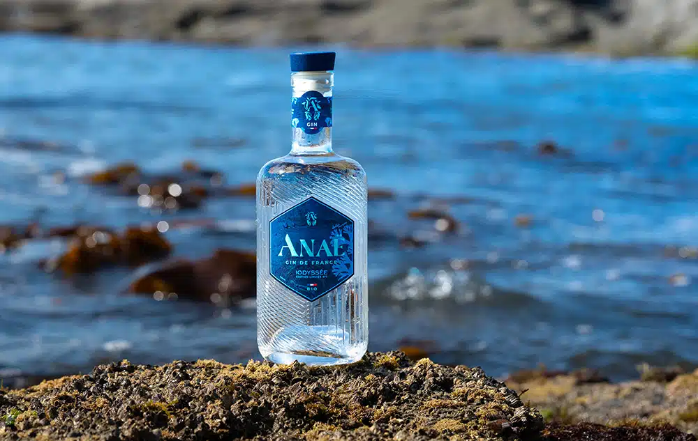 Gin Anaë iodyssée