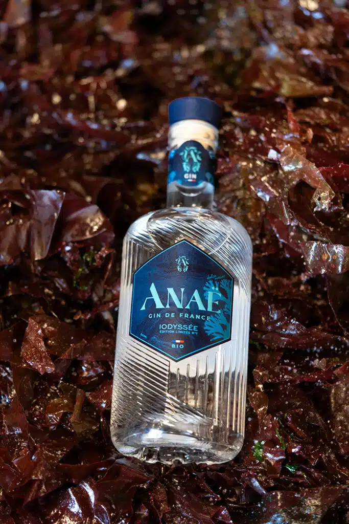 Gin Anaë iodyssée