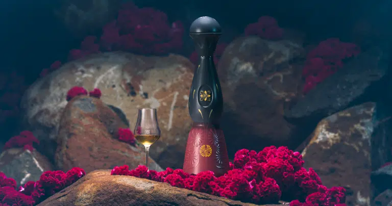 Clase Azul Día de Muertos Trascender : la tequila fait un détour par la Champagne Clase Azul Día de Muertos Trascender