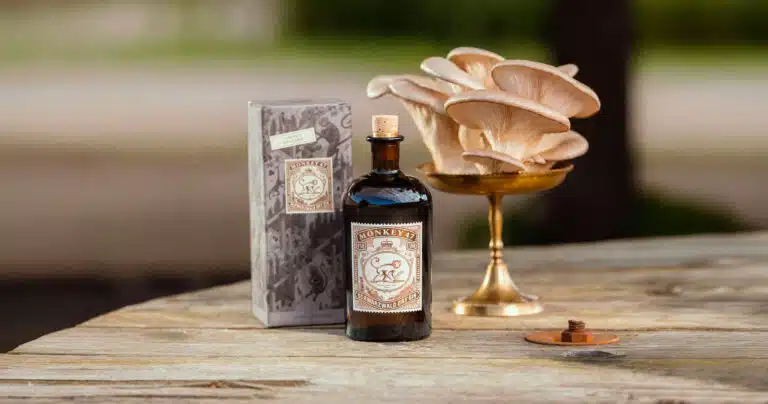 Monkey 47 Distiller’s Cut 2026 : le gin de la Forêt-Noire passe au champignon Monkey 47 distiller's cut 2026